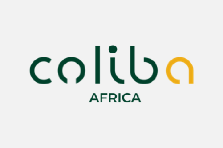 AIVDP logo PARTENAIRES Plan de travail 18@2x-100