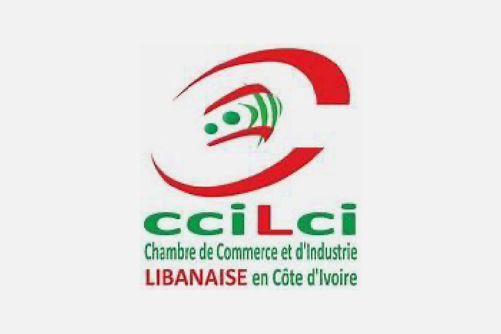 AIVDP logo PARTENAIRES Plan de travail 25@2x-100