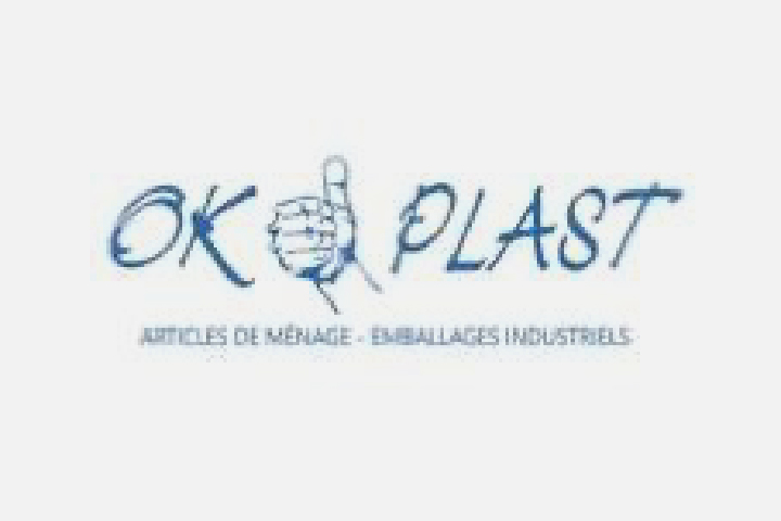 AIVDP logo PARTENAIRES Plan de travail 3@2x-100