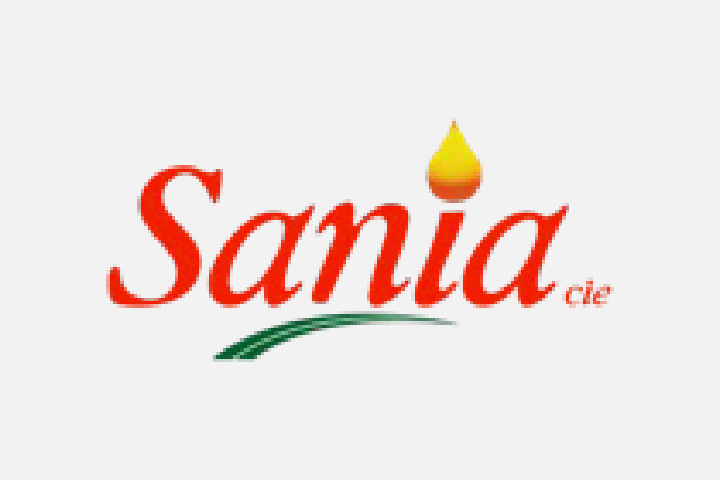 AIVDP logo PARTENAIRES Plan de travail 7@2x-100