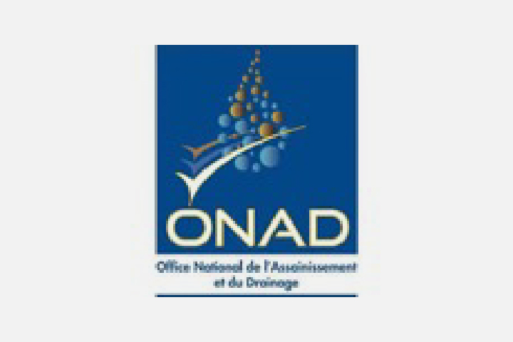 AIVDP logo PARTENAIRES top Plan de travail 34@2x-100